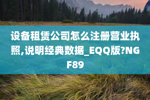 设备租赁公司怎么注册营业执照,说明经典数据_EQQ版?NGF89