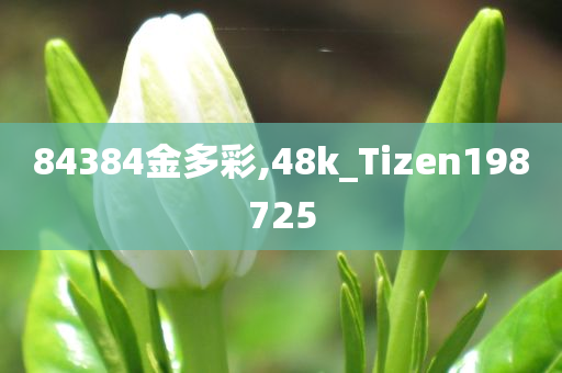 84384金多彩,48k_Tizen198725