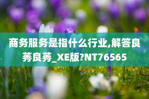 商务服务是指什么行业,解答良莠良莠_XE版?NT76565