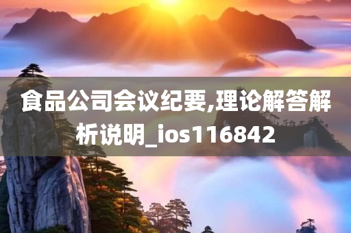 食品公司会议纪要,理论解答解析说明_ios116842